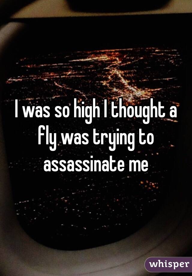 I was so high I thought a fly was trying to assassinate me 