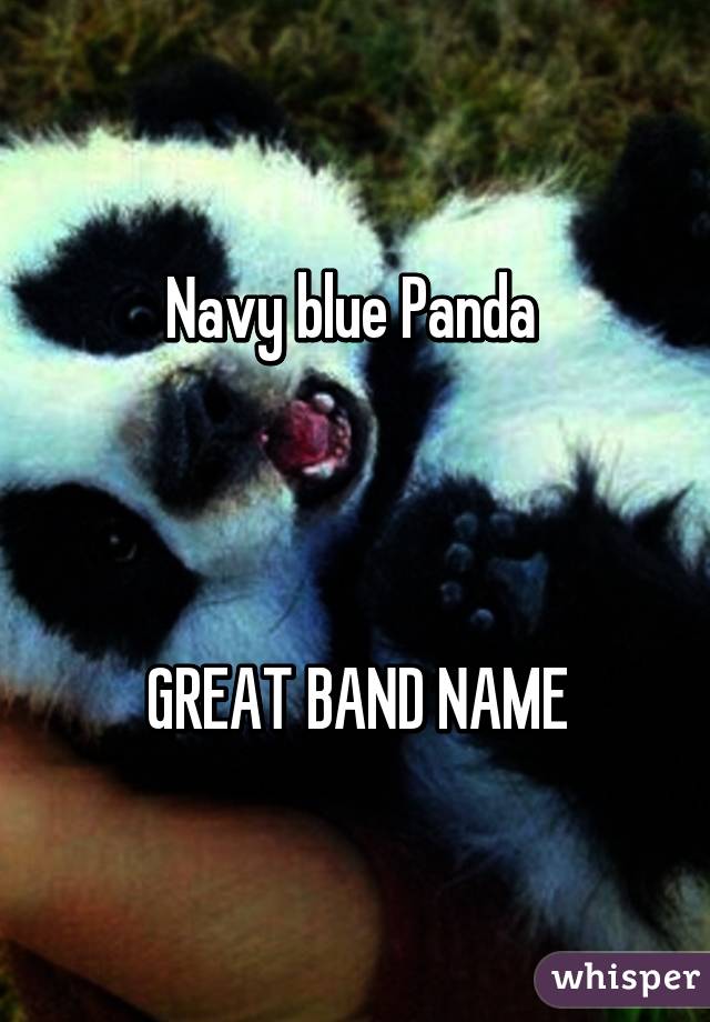 Navy blue Panda 



GREAT BAND NAME