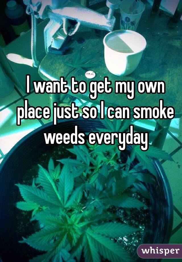 I want to get my own place just so I can smoke weeds everyday 