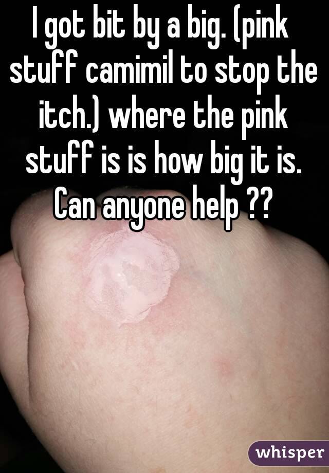 I got bit by a big. (pink stuff camimil to stop the itch.) where the pink stuff is is how big it is. Can anyone help ??