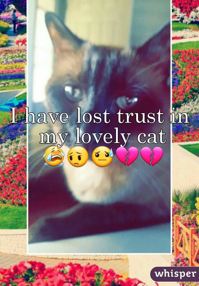 I have lost trust in my lovely cat 😭😔😓💔💔