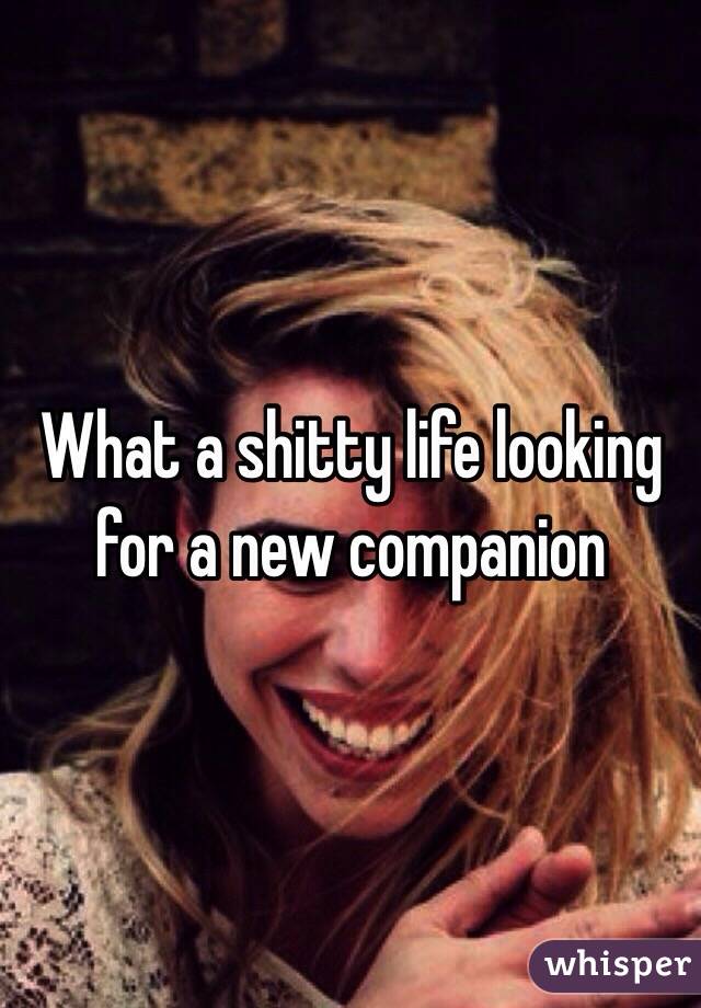 What a shitty life looking for a new companion