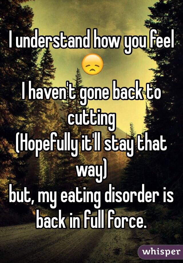 I understand how you feel 
😞
I haven't gone back to cutting 
(Hopefully it'll stay that way)
but, my eating disorder is back in full force. 