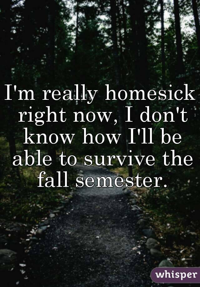 I'm really homesick right now, I don't know how I'll be able to survive the fall semester.