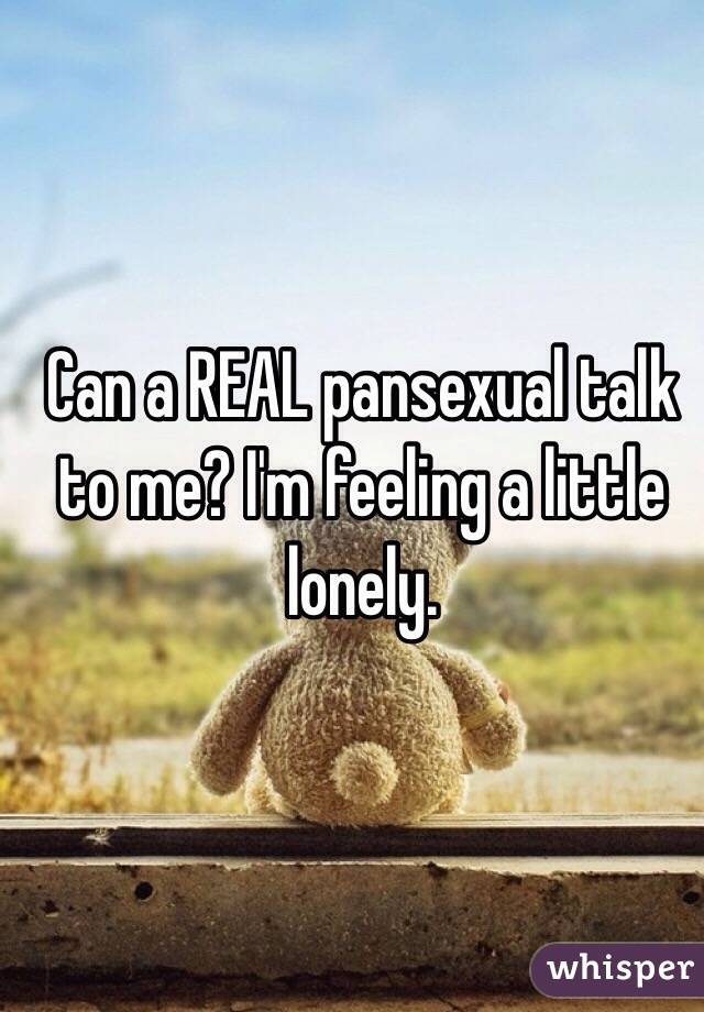 Can a REAL pansexual talk to me? I'm feeling a little lonely.