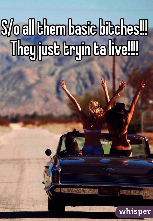 S/o all them basic bitches!!! They just tryin ta live!!!! 