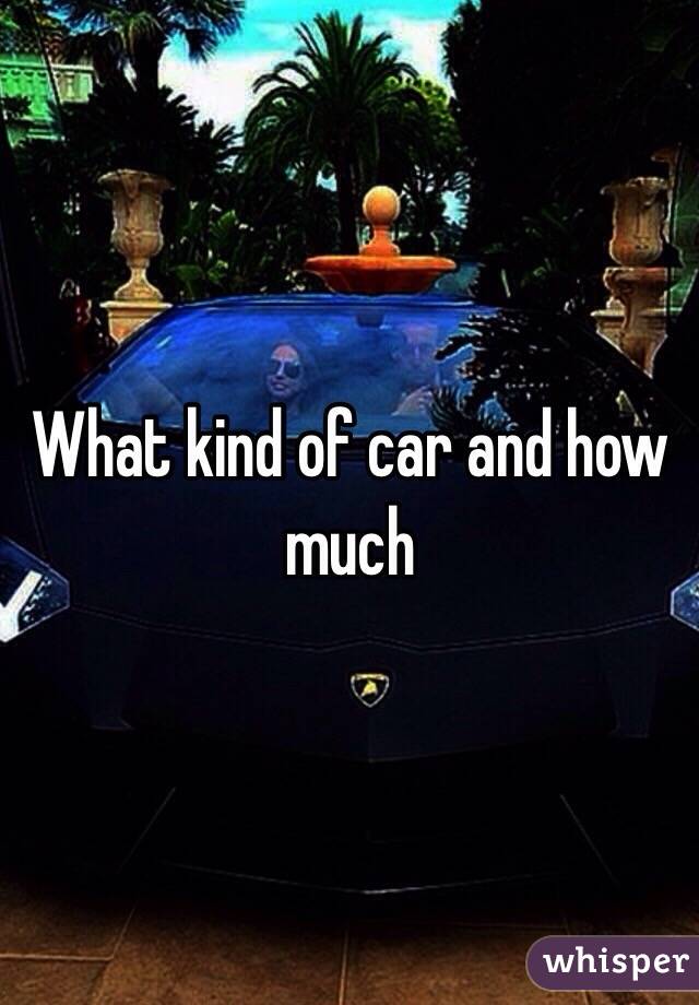 What kind of car and how much