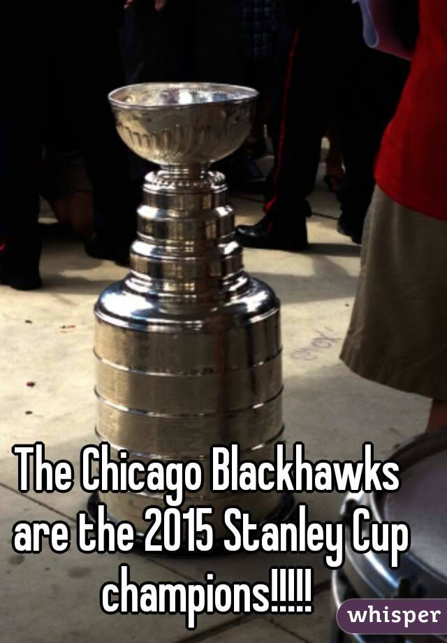 The Chicago Blackhawks are the 2015 Stanley Cup champions!!!!! 