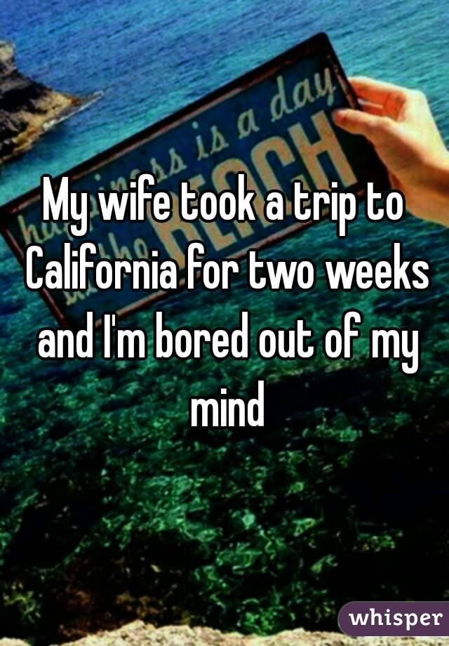 My wife took a trip to California for two weeks and I'm bored out of my mind