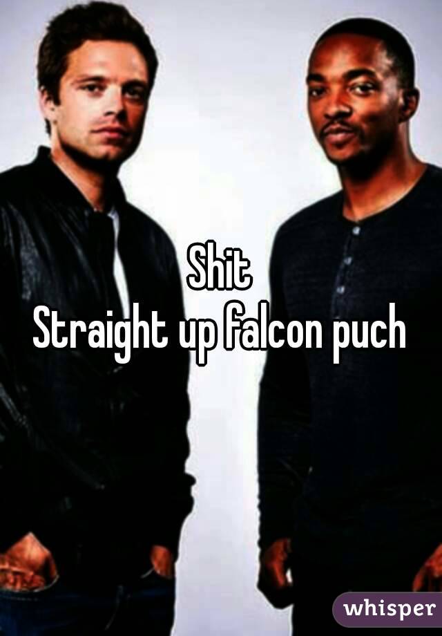 Shit
Straight up falcon puch