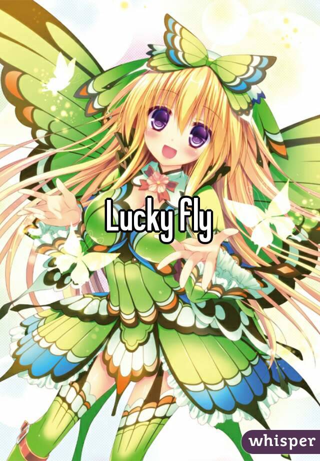 Lucky fly