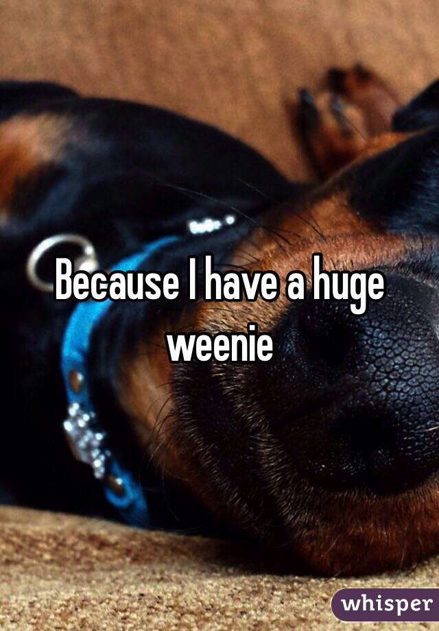 Because I have a huge weenie