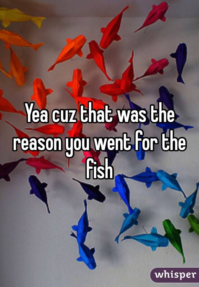 Yea cuz that was the reason you went for the fish 