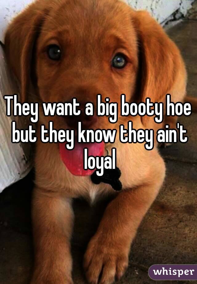 They want a big booty hoe but they know they ain't loyal