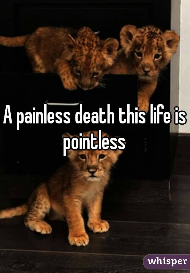 A painless death this life is pointless 