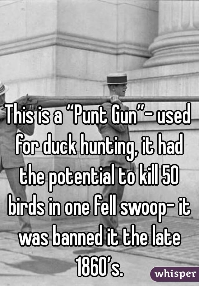 This is a “Punt Gun”- used for duck hunting, it had the potential to kill 50 birds in one fell swoop- it was banned it the late 1860’s.

