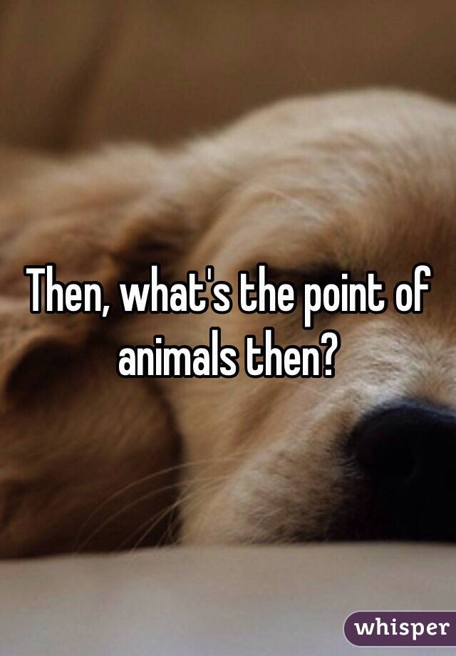 Then, what's the point of animals then?