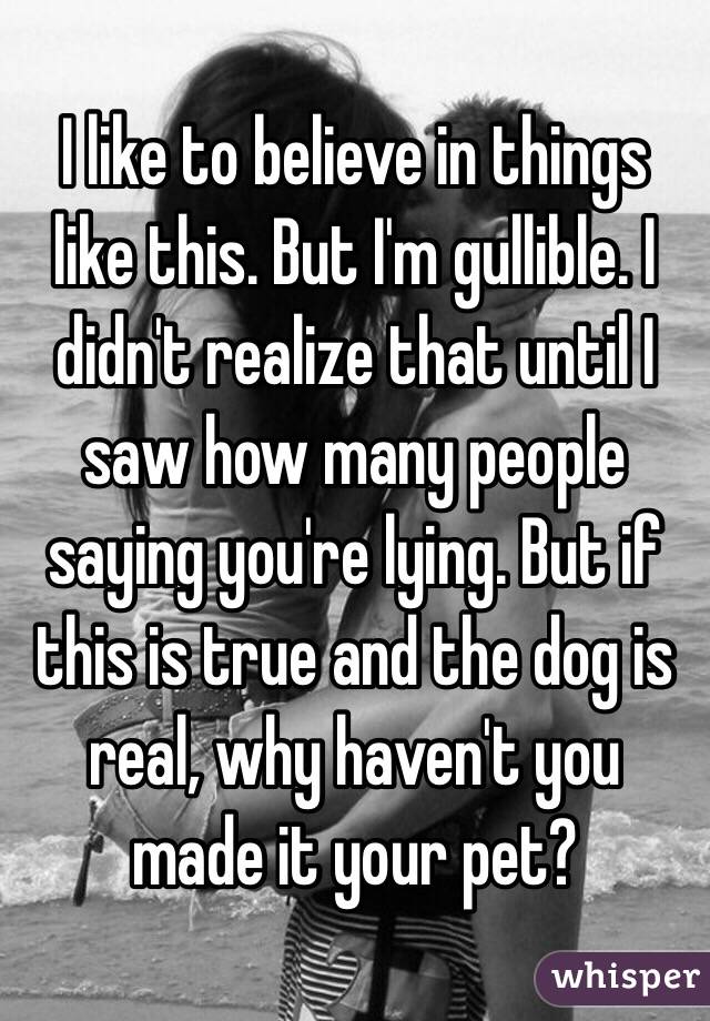 I like to believe in things like this. But I'm gullible. I didn't realize that until I saw how many people saying you're lying. But if this is true and the dog is real, why haven't you made it your pet?