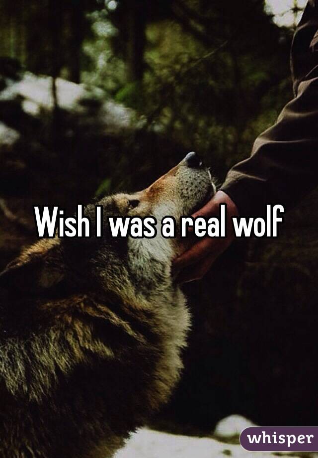 Wish I was a real wolf 