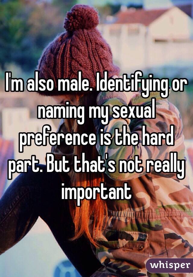 I'm also male. Identifying or naming my sexual preference is the hard part. But that's not really important 