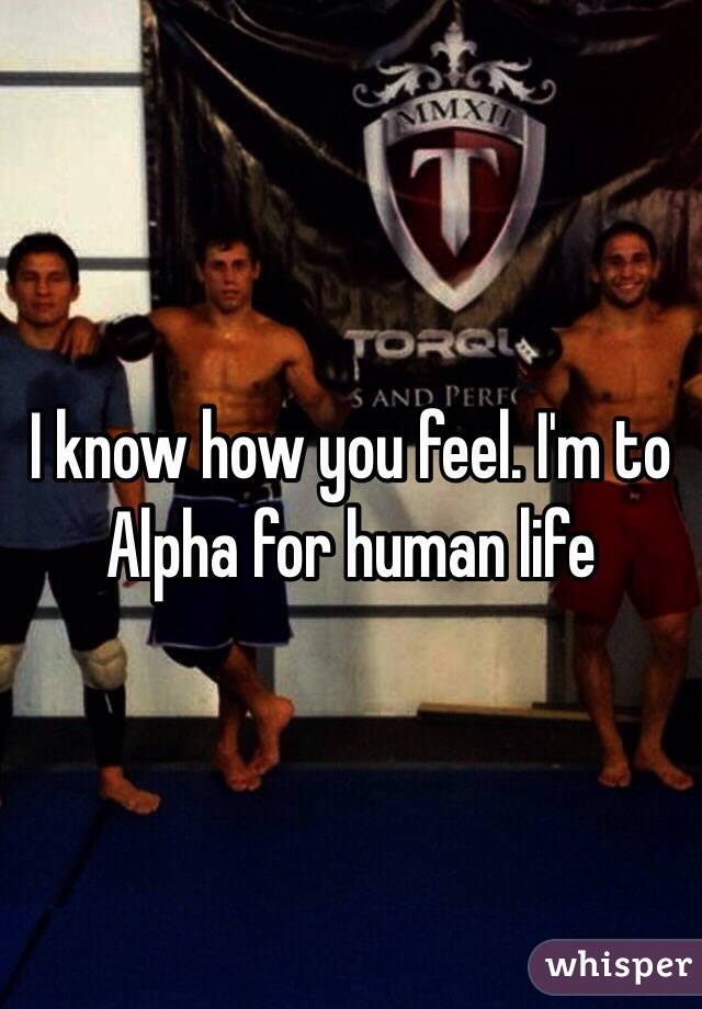 I know how you feel. I'm to Alpha for human life