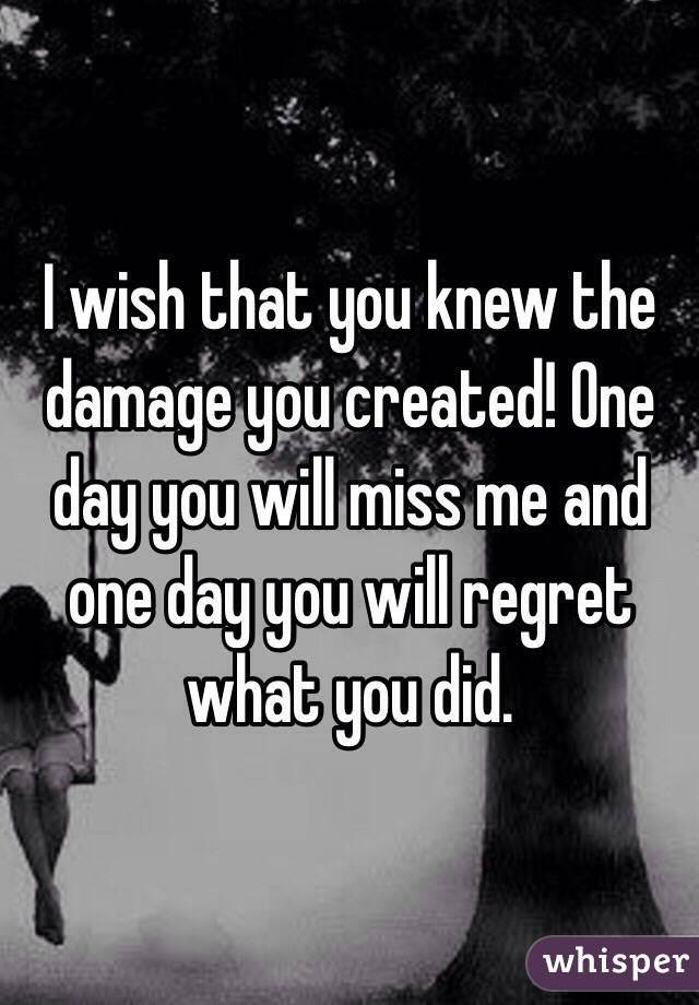 I wish that you knew the damage you created! One day you will miss me and one day you will regret what you did. 