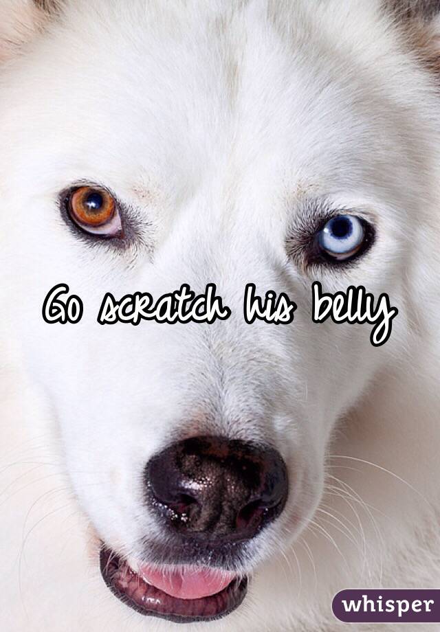 Go scratch his belly 