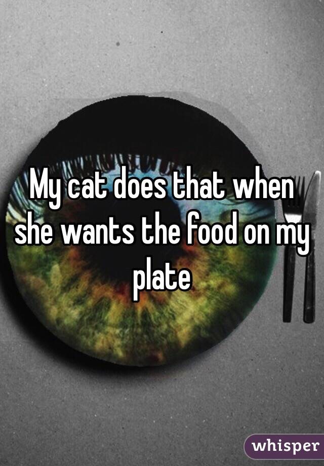 My cat does that when she wants the food on my plate 