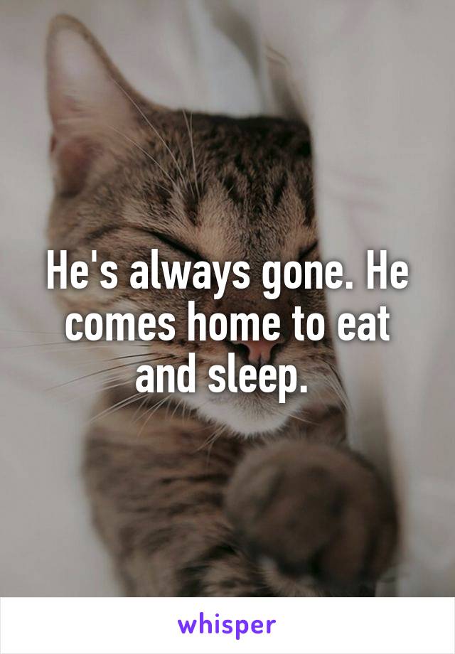 He's always gone. He comes home to eat and sleep. 