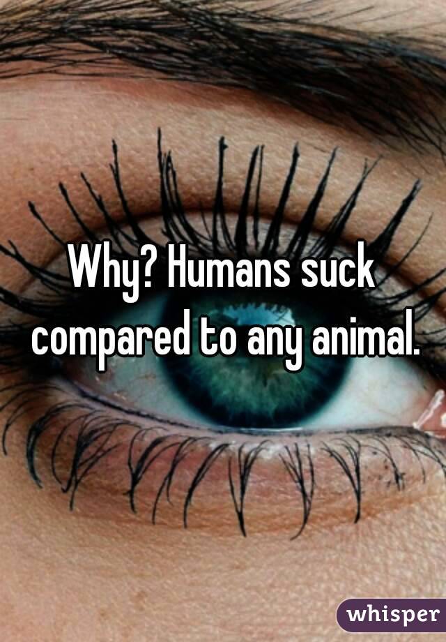 Why? Humans suck compared to any animal.