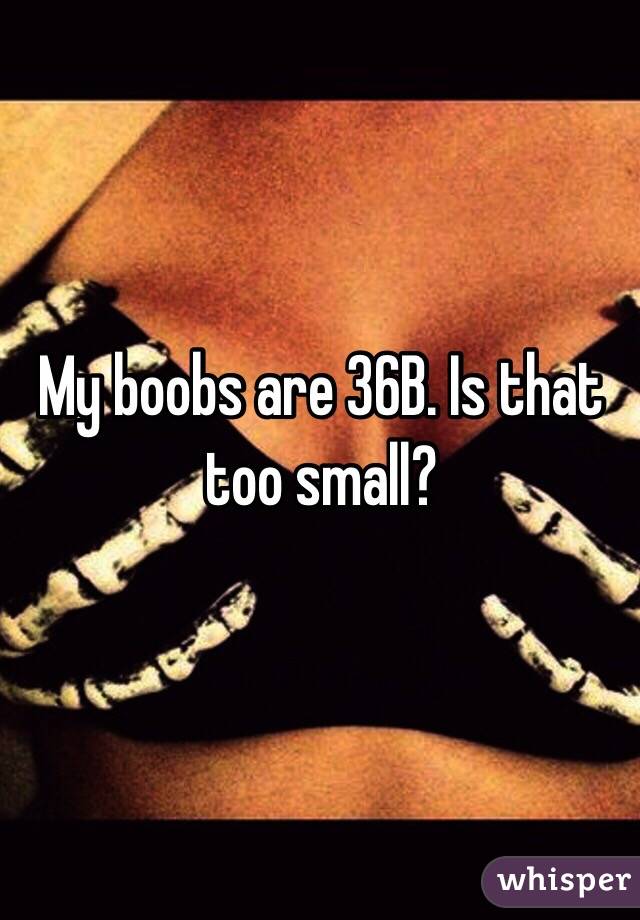 My boobs are 36B. Is that too small?