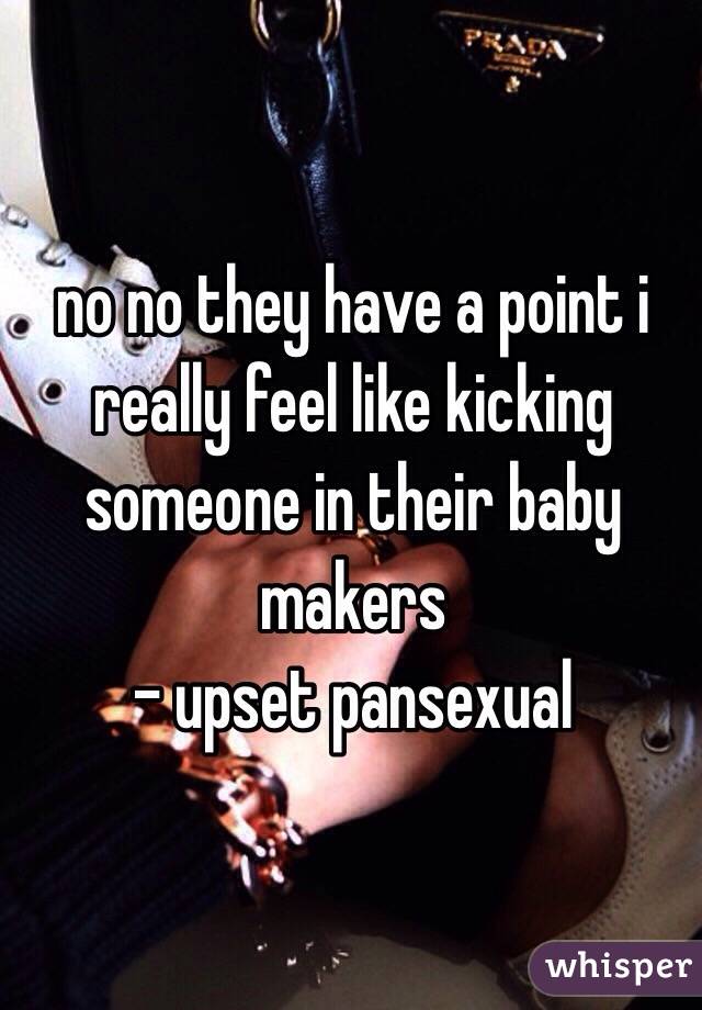 no no they have a point i really feel like kicking someone in their baby makers
- upset pansexual