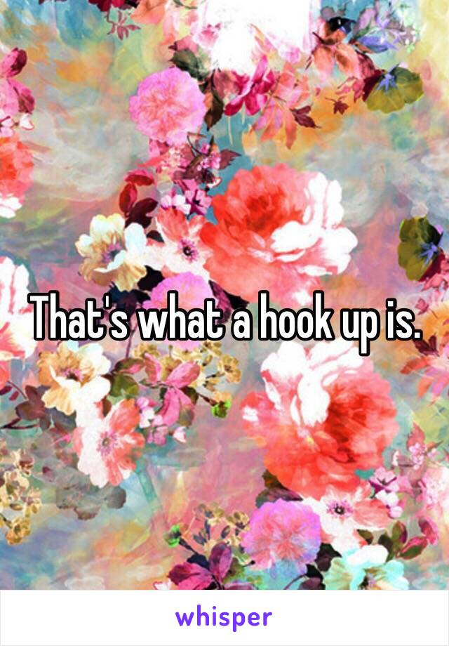 That's what a hook up is.