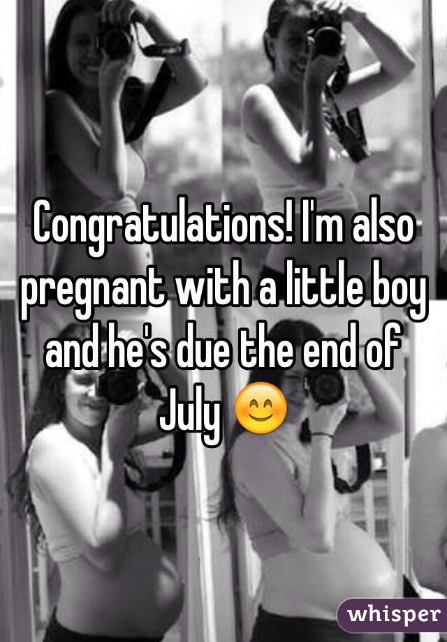Congratulations! I'm also pregnant with a little boy and he's due the end of July 😊
