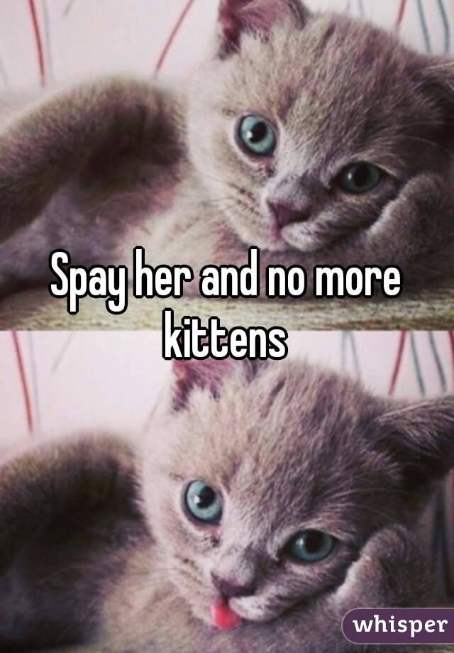 Spay her and no more kittens 