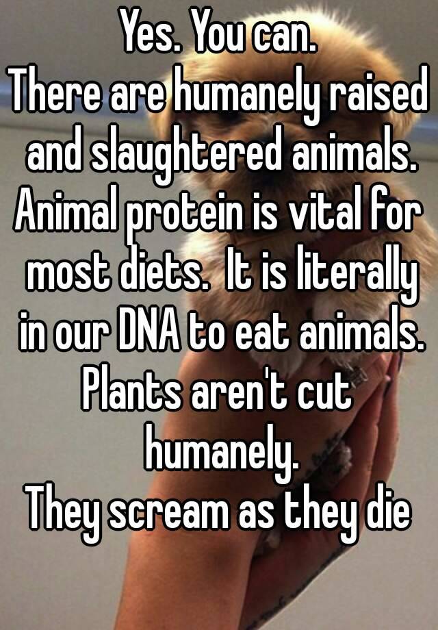 yes-you-can-there-are-humanely-raised-and-slaughtered-animals-animal