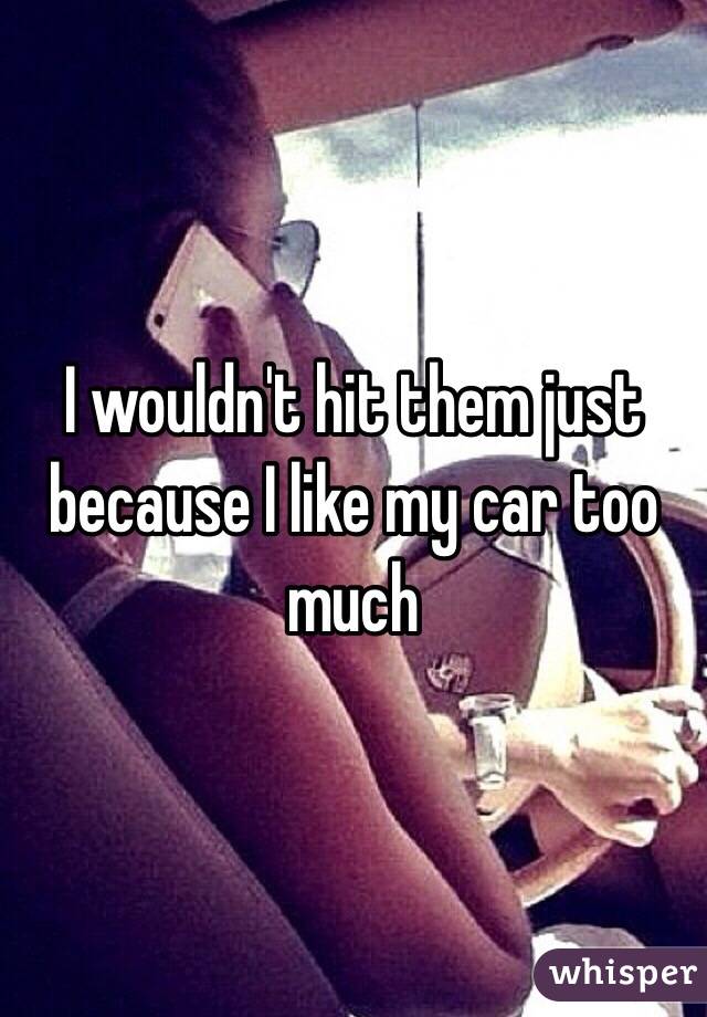 I wouldn't hit them just because I like my car too much 