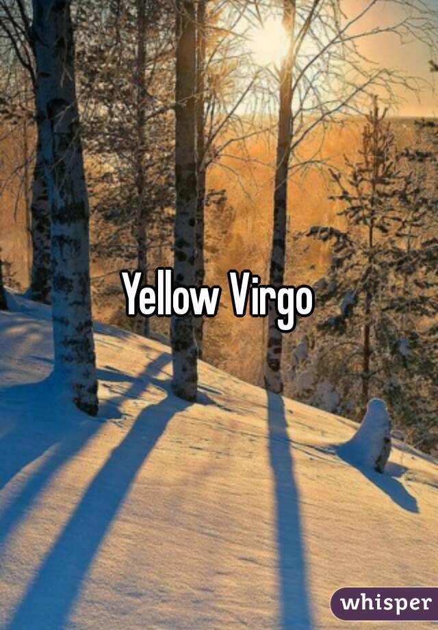 Yellow Virgo
