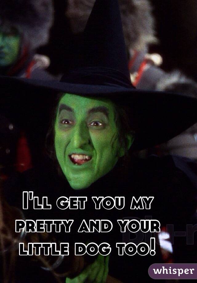 I'll get you my pretty and your little dog too!