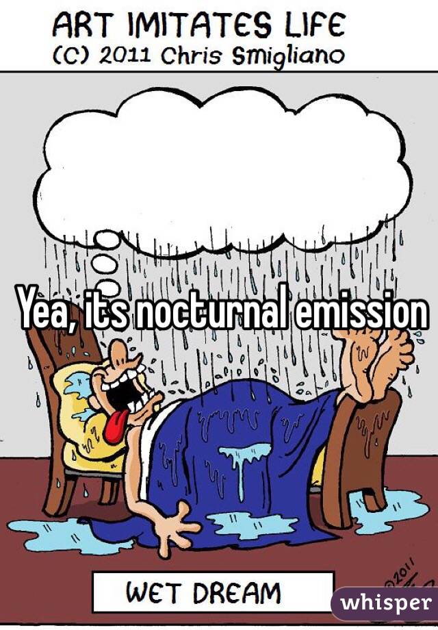 Yea, its nocturnal emission