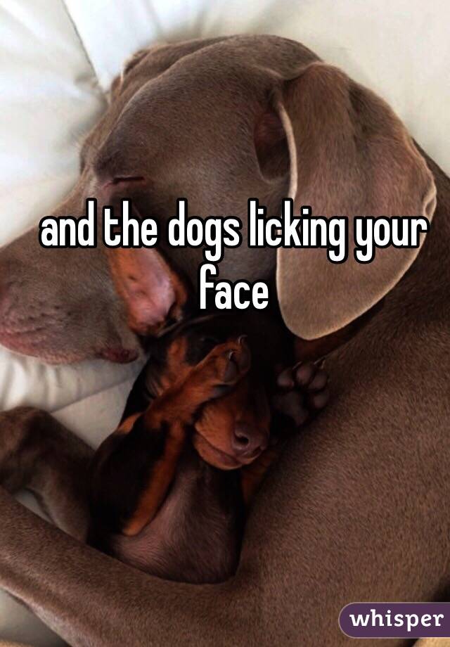 and the dogs licking your face