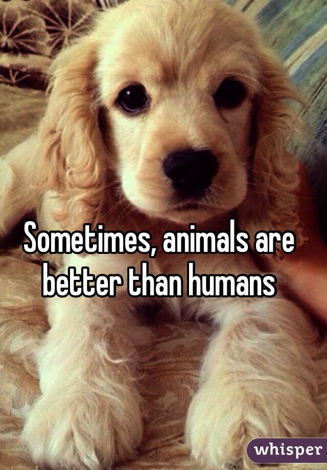 Sometimes, animals are better than humans