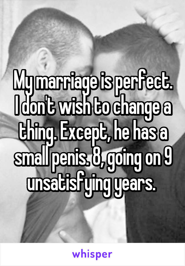 My marriage is perfect. I don't wish to change a thing. Except, he has a small penis. 8, going on 9 unsatisfying years. 