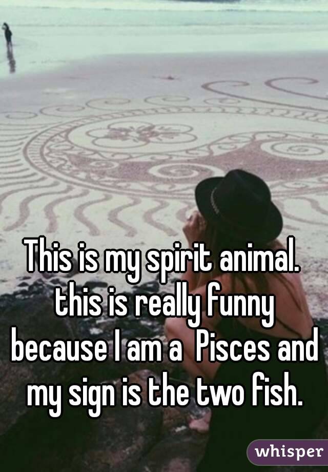 This is my spirit animal. this is really funny because I am a Pisces and my