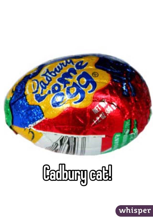 Cadbury cat!