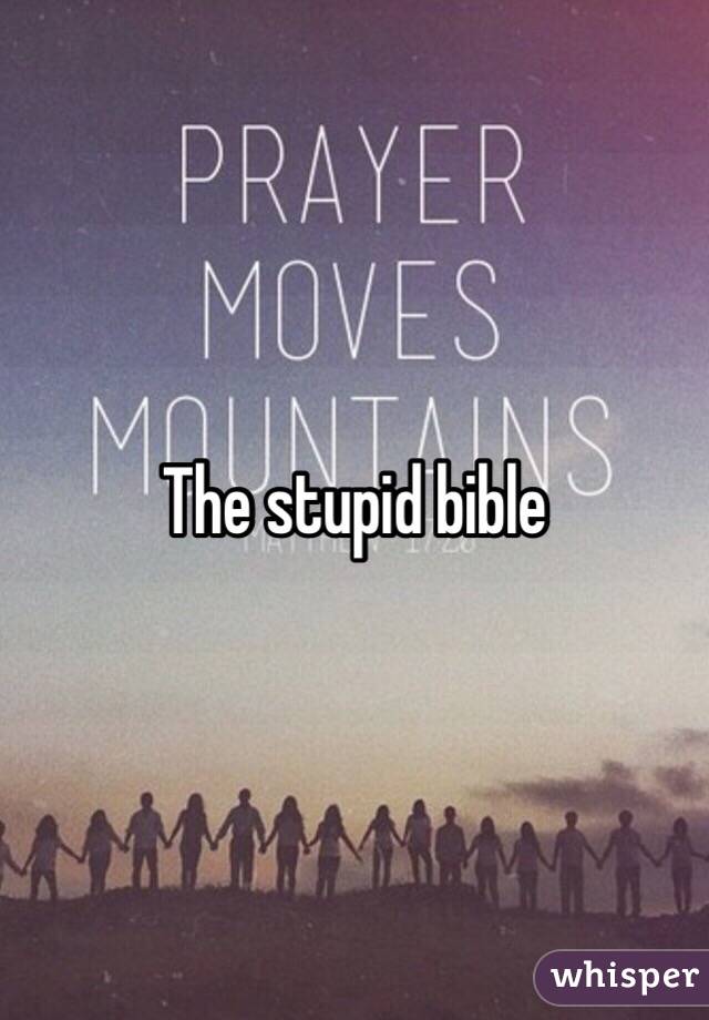 the-stupid-bible