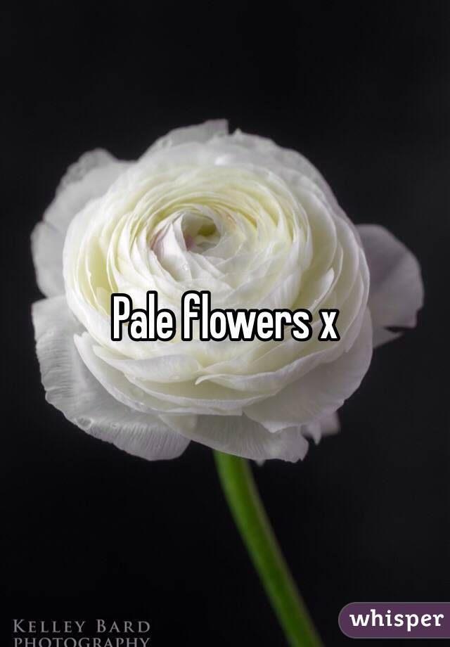 Pale flowers x