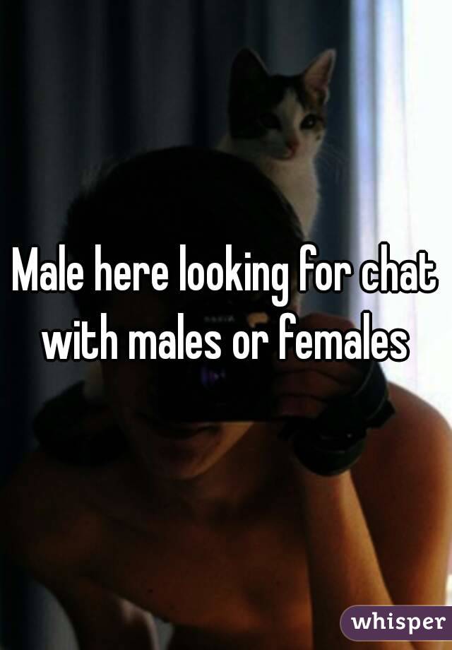 Male here looking for chat with males or females 