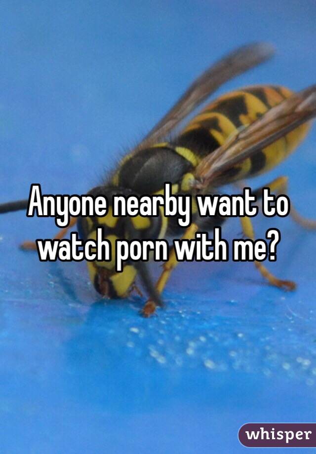 Anyone nearby want to watch porn with me?