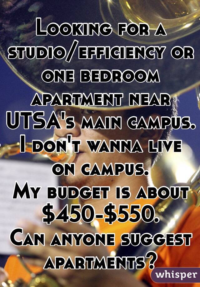 Looking for a studio/efficiency or one bedroom apartment near UTSA's main campus. I don't wanna live on campus.
My budget is about $450-$550.
Can anyone suggest apartments?